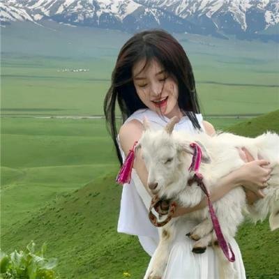 芫荽与欧芹